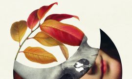 El jardinero y la muerte. De lo mejor del 2025 en España