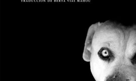 ¿Fue él? Stefan Zweig y su reflexión acerca de los celos