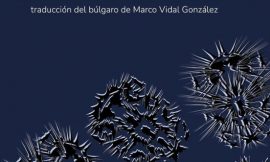 Los erizos salen de noche