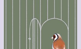 Claros de luz Iris Wolff (2024)