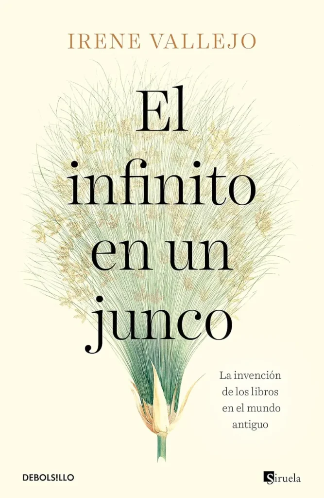 De qué trata El infinito en un junco