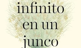 De qué trata El infinito en un junco, de Irene Vallejo y por qué leerlo.
