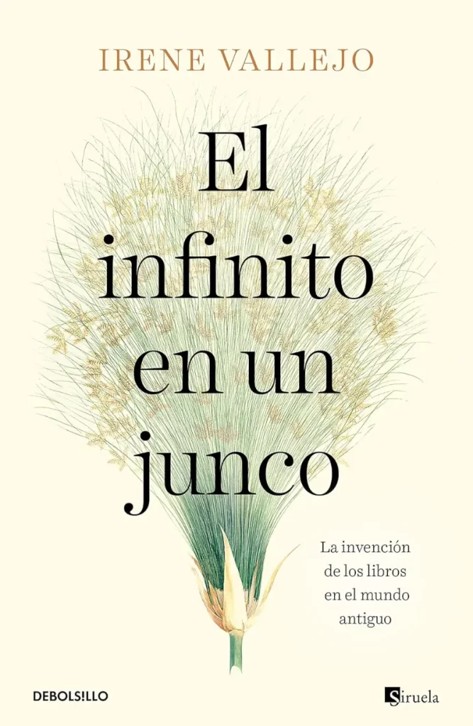 De qué trata El infinito en un junco